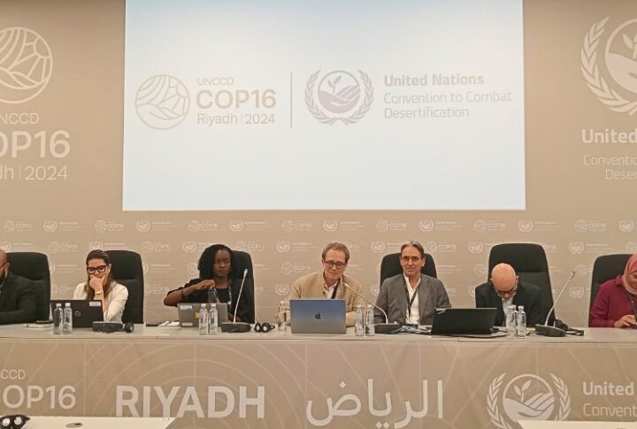 تخضير الصحراء: رؤية سيكم لمكافحة التصحر في مؤتمر الأطراف السادس عشر COP16 في الرياض