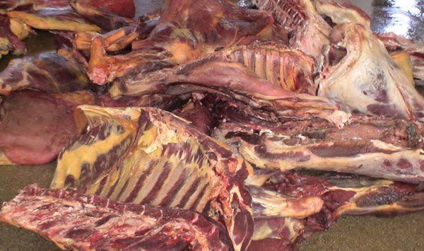 ضبط لحوم ودواجن فاسدة بحملة مكبرة بزفتي