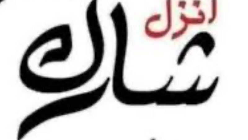 انزل شارك من أجل مصر “.. شعار الجالية المصرية بسلطنة عمان فى إنتخابات مجلس الشيوخ