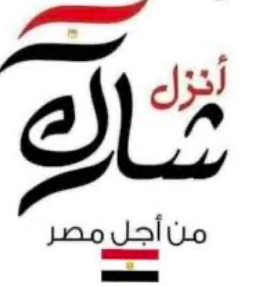 انزل شارك من أجل مصر “.. شعار الجالية المصرية بسلطنة عمان فى إنتخابات مجلس الشيوخ