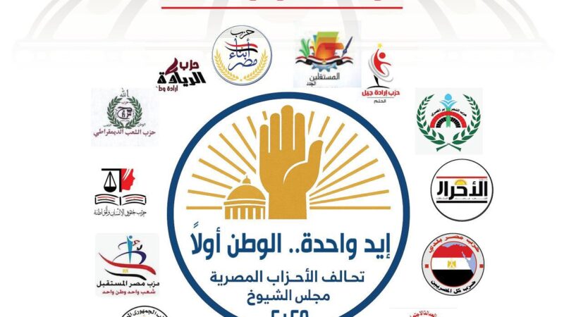 مدحت بركات متحديًا الشائعات: تحالف الأحزاب المصرية يراقب انتخابات الشيوخ بالخارج لحظة بلحظة ورسالتنا أن الوطن أولاً