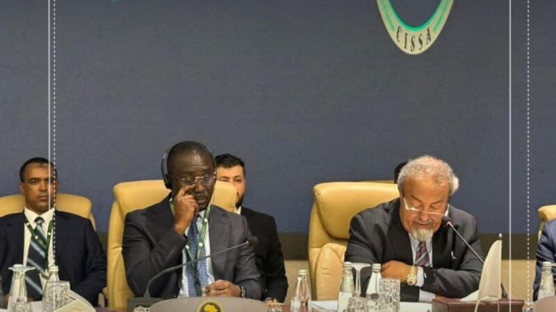 ليبيا تتصدر المشهد الأمني الأفريقي باستضافتها قمة «سيسا» العشرين في بنغازي