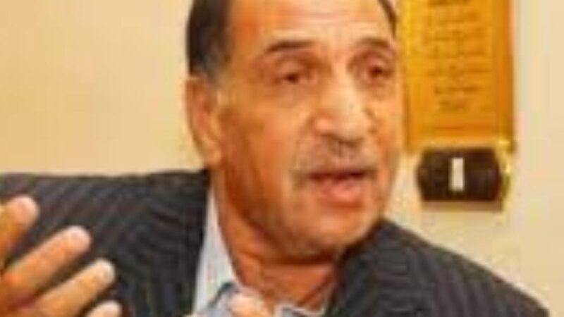 المصريون في الخارج يحظون باهتمام كبير من الرئيس عبد الفتاح السيسي والدولة المصرية تقدر جهودهم