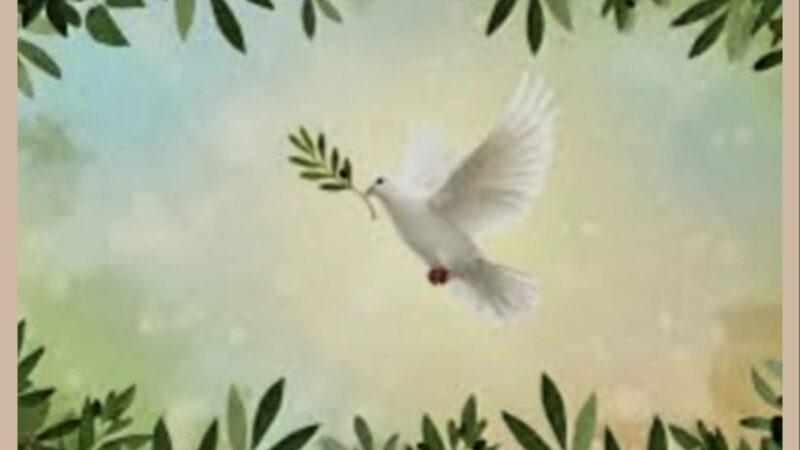 المستشار إسماعيل الأنصاري… يكتب / ميلاد قوى عظمى جديده لادارة العالم بمفهوم الأمن القومى العالمى …. ونهايات الصراعات الانسانيه المؤلمة حول العالم