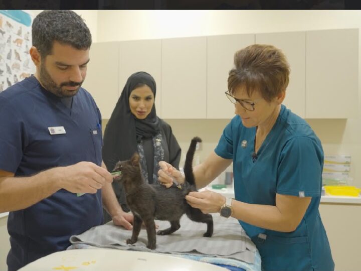 جمعية أبوظبي لرعاية الحيوان (AWAD) تعزز مفهوم الملكية المسؤولة للحيوانات الأليفة من خلال مبادرة «الجاهزية لتسجيل الحيوانات الأليفة»