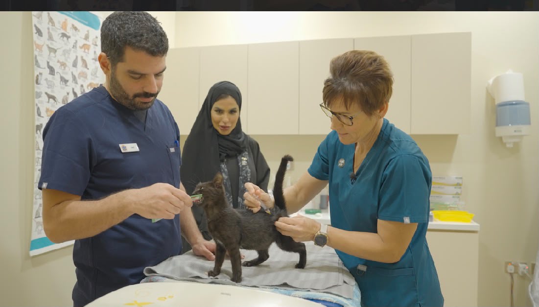جمعية أبوظبي لرعاية الحيوان (AWAD) تعزز مفهوم الملكية المسؤولة للحيوانات الأليفة من خلال مبادرة «الجاهزية لتسجيل الحيوانات الأليفة»
