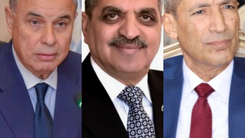 الربان وسام هركي يهنئ قيادات قناة السويس ثقة مستحقة و إنجازات تعزز ريادة مصر في النقل البحري