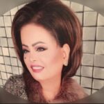 الاعلامية عائشة الرشيد : فرنسا  الدعم للسعودية  دفاعي