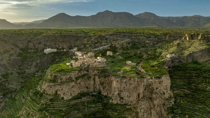 الجبل الأخضر.. تجربة عُمانية تتجدد مع الفصول