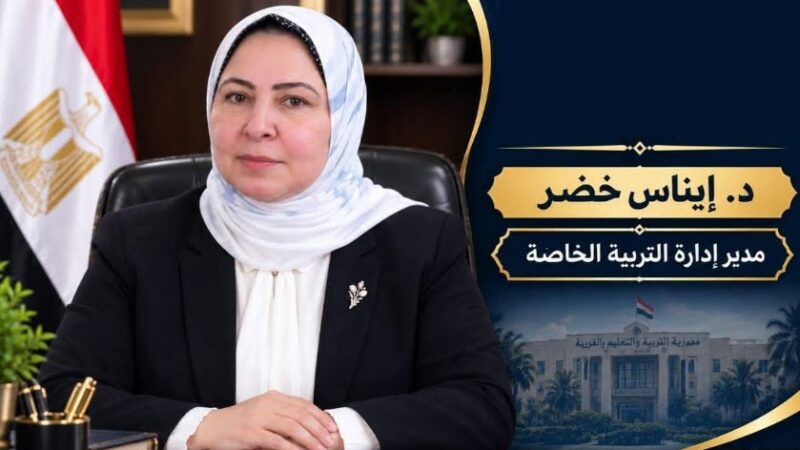 د/ ايناس خضر تكتب :  الدمج التعليمي .. بين الوقع والمأمول